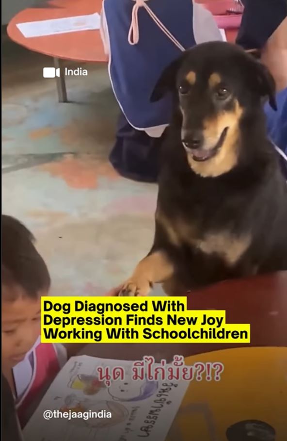 Pas sa depresijom radi u vrtiću