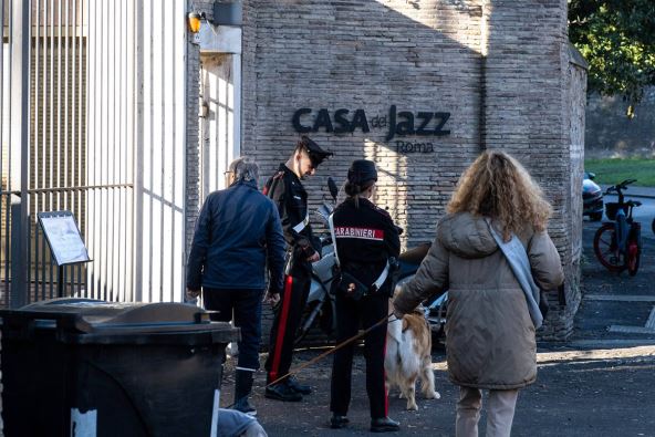 profimedia-1052183190 copy.jpg