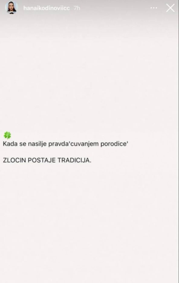 Hana Ikodinović o nasilju