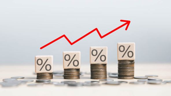 shutterstock_2383086683 copy.jpg