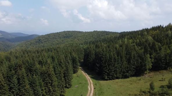 Planina Javor.jpg