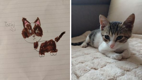 KomboBox - 2 Slike 16x9 copy.jpg