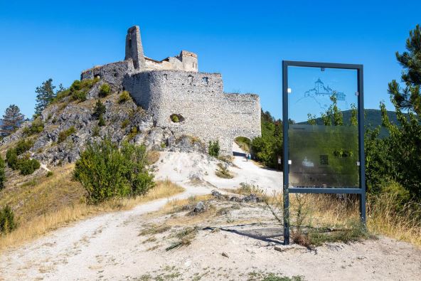 profimedia-1025001845 copy.jpg