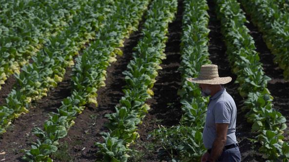 SZJ - Autor - Sasa Dzambic 1 copy.jpg