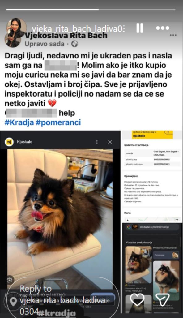 Vjekoslavin ukradeni pas