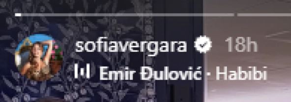 Sofija Vergara Emir Đulović