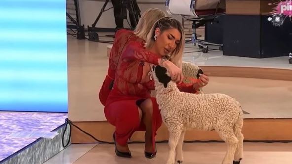 Jovana Jeremić uvela jagnje u studio (1).jpg
