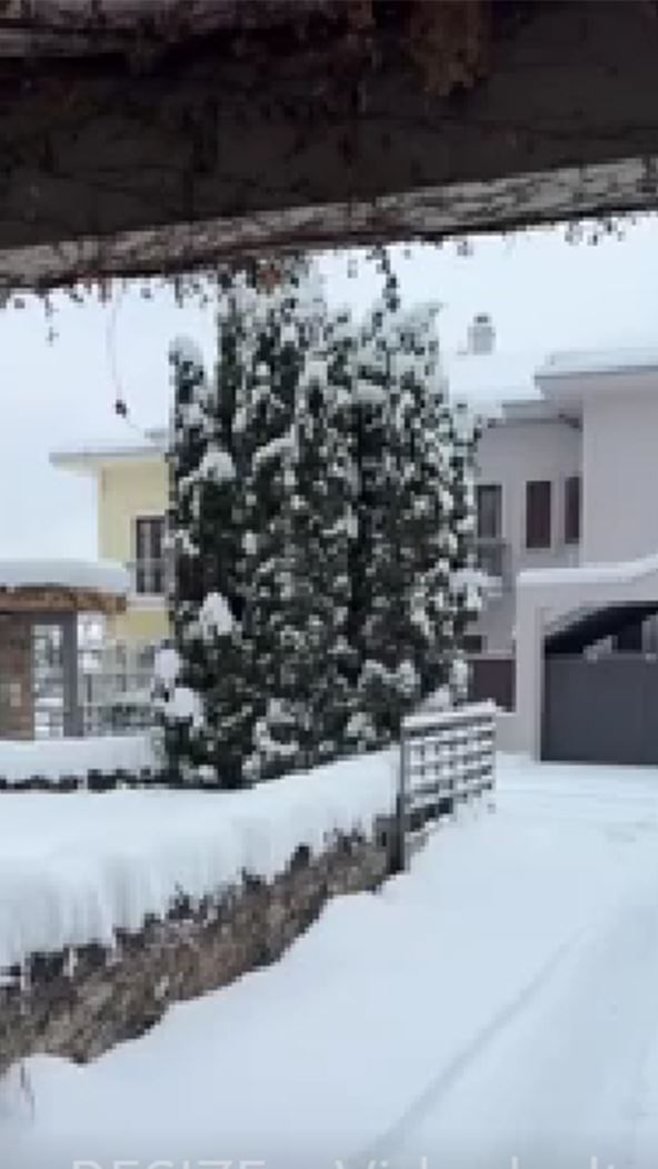 Jelena Karleuša