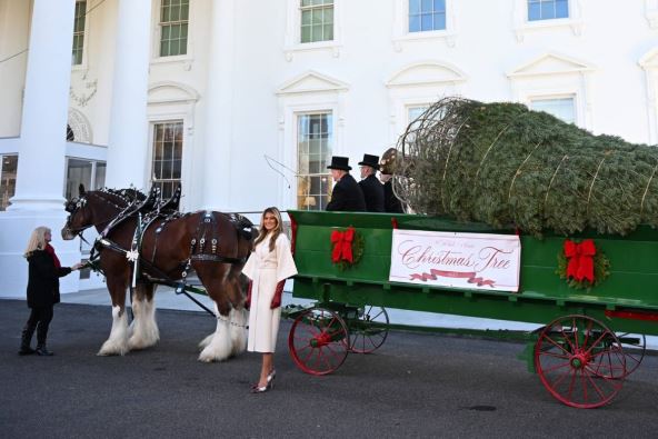 Melanija Tramp na dočeku novogodišnje jelke u Beloj kući