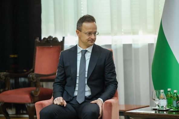 Sastanak delegacija Srbije i Mađarske, Dubravka Đedović Handanović i Peter Sijarto (14).jpg