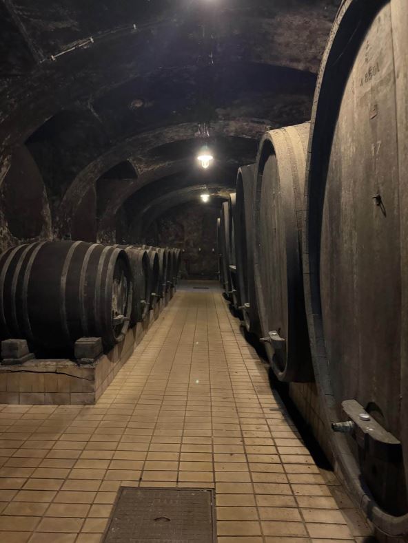 Podrum Vinag (4).jpg