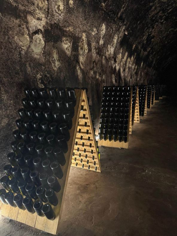 Podrum Vinag (8).jpg