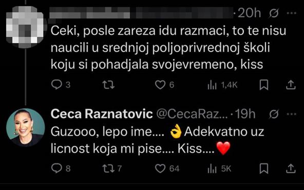 Ceca Ražnatović se svađa sa hejterima na Tviteru (1).jpg