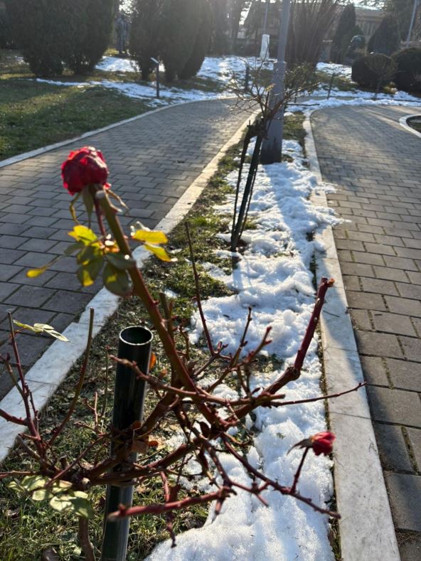 WhatsApp Image 2026-01-19 at 09.26.11.jpeg