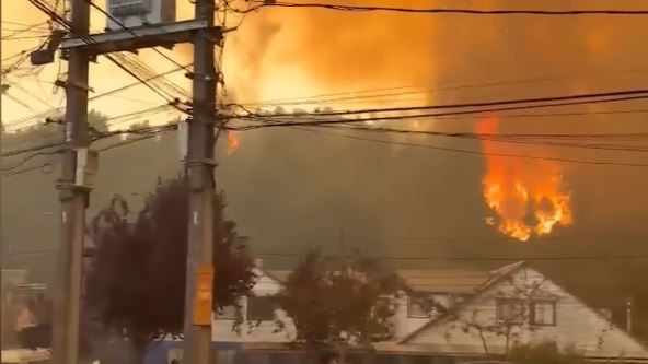 Požar u Konsepsionu (1).jpg