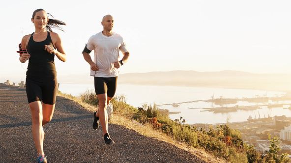 shutterstock_2275533761 copy.jpg