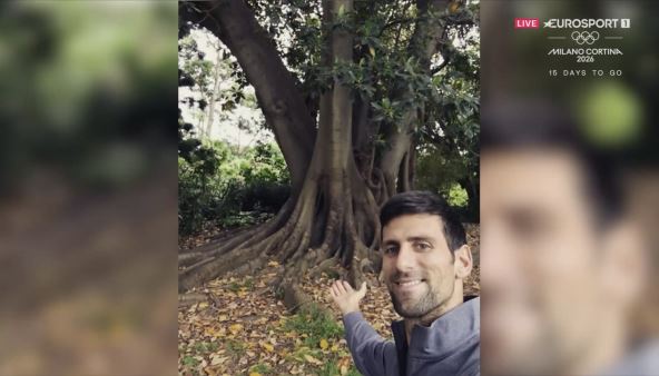 Novak Đoković i drvo u Melburnu
