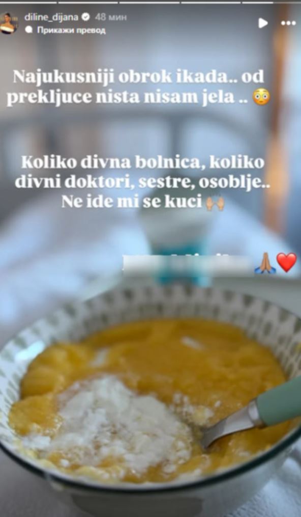 Dijana Dilajn.jpg