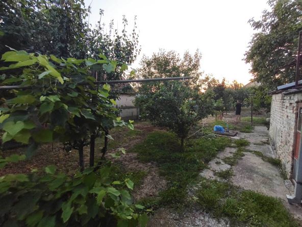 oglas za kuću u Bačkom Jarku (5).jpg