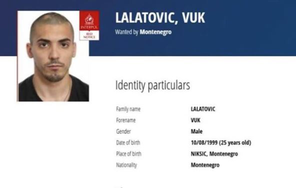 Vuk Lalatović.jpg