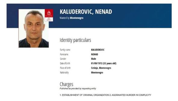 Nenad kaluđerović.jpg
