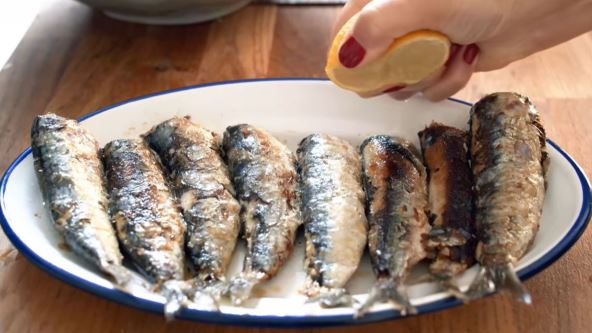 Sardine.jpg