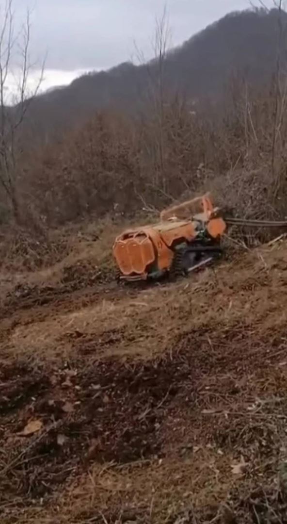 Mašina Marije Petronijević