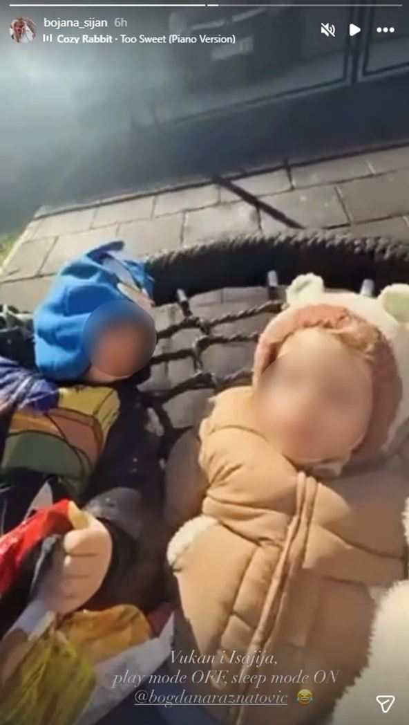 Sinovi Veljka Ražnatovića i Mirka Šijana