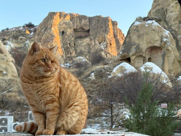 Goreme (2).jpg