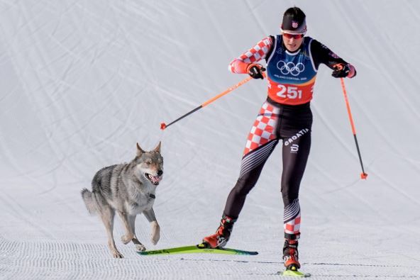 Tena Hadžić na Zimskim olimpijskim igrama