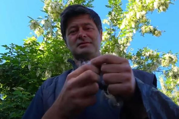 Jovici majka platila mladu, a ona pobegla