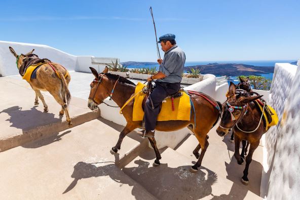 Muškarac jaše magarca uz stepenice na Santoriniju
