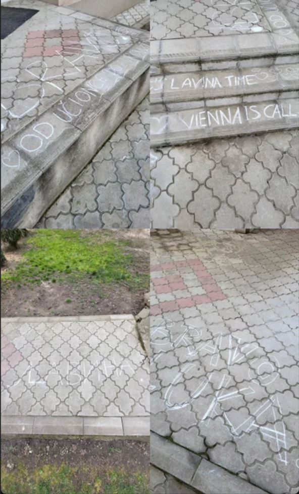 Luka Aranđelović Lavina iznenađenje u školi