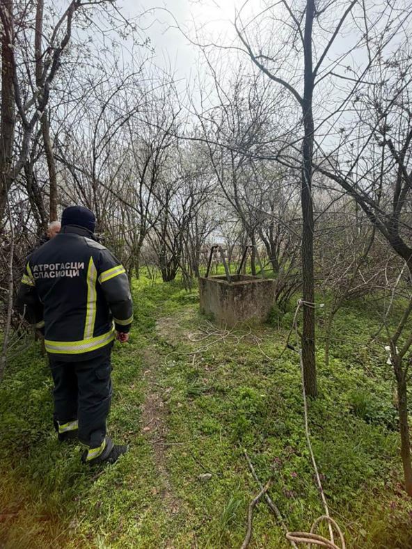 Pronađeno 7 pasa (2).jpg