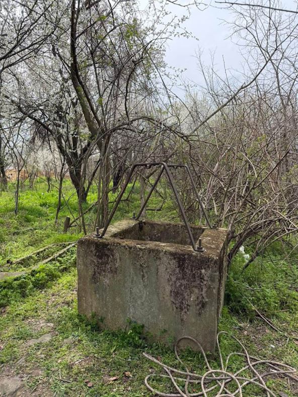 Pronađeno 7 pasa (3).jpg