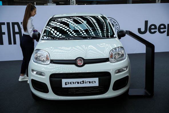 Pandino (2).jpg