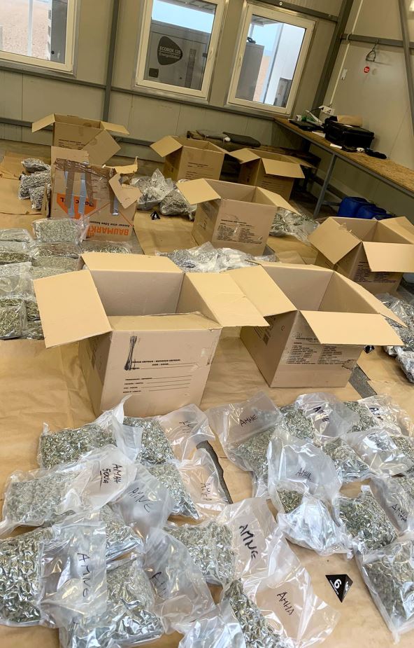 Zaplena marihuane (1).jpg