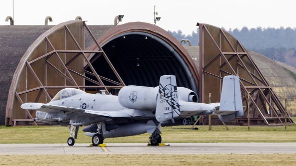 10 Warthog (1).jpg