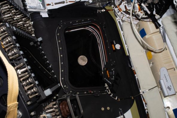 Artemis II (2).jpg