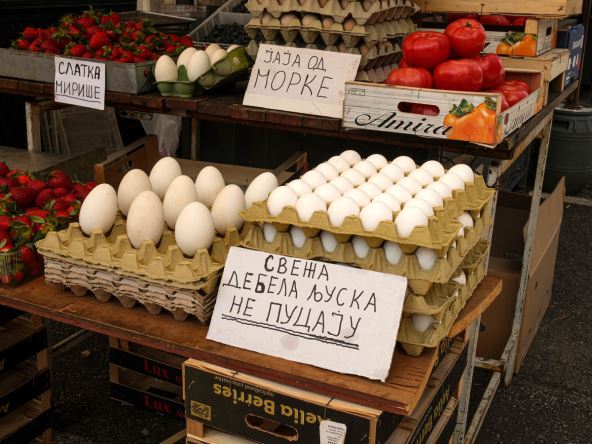 Bela jaja u kartonu na tezgi