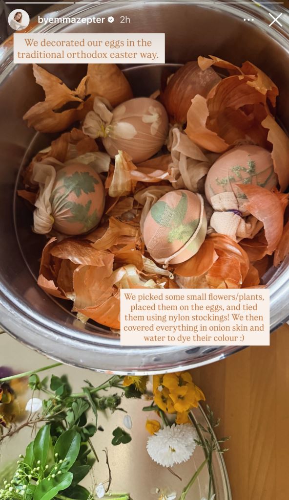 Ema Cepter farba jaja u lukovini