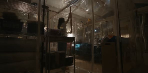 The Cleaning Lady