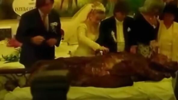 1464177.jpg