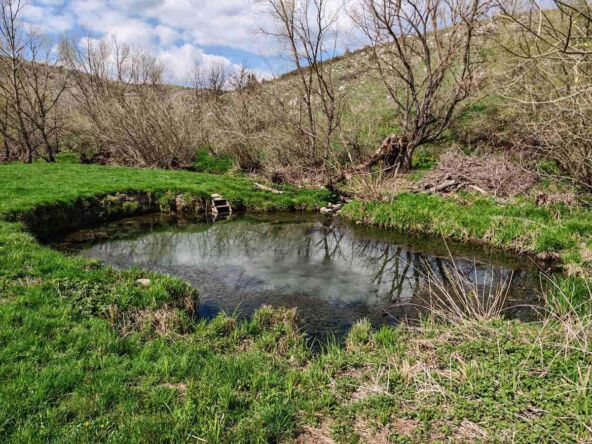 Čedovske banjice (3).jpg