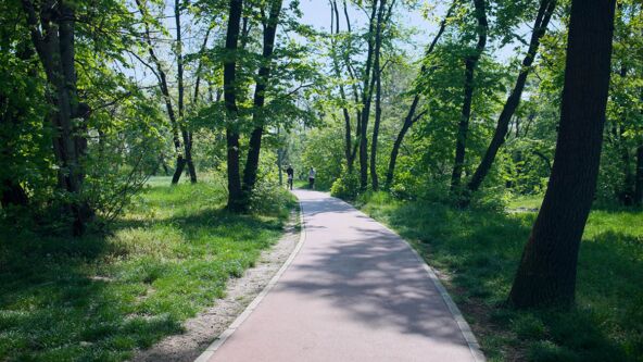 Zavod_Trim staza_Saopstenje 2.jpg