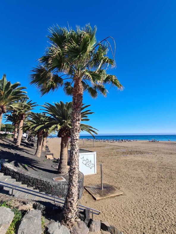 Lanzarote ostrvo (1).jpg