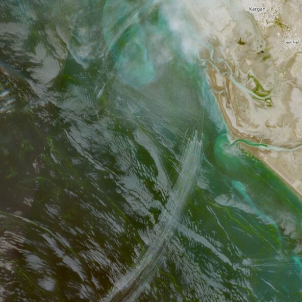 Satelitski snimak roja brzih iranskih ratnih čamaca kod Ormuza (2).jpg