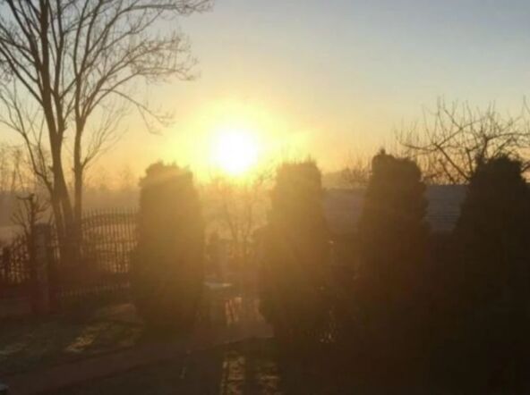 Danijela Vranić imanje