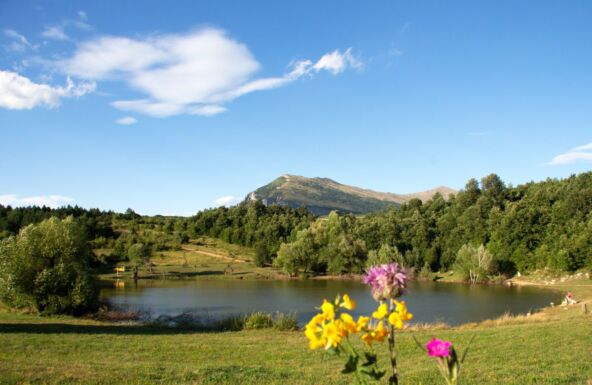 Vrmdža - autor Milena Radosavljević copy.jpg