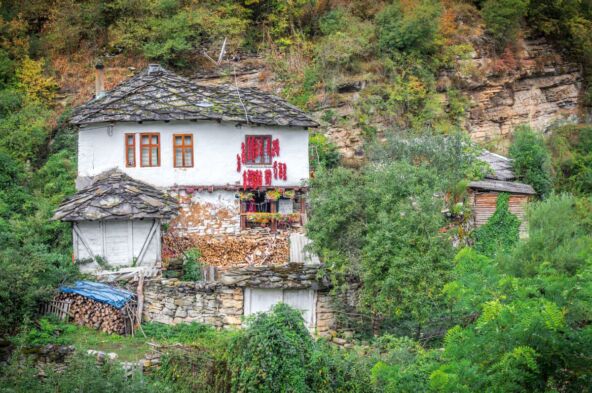 Gostuša - Milan Simonovic copy.jpg